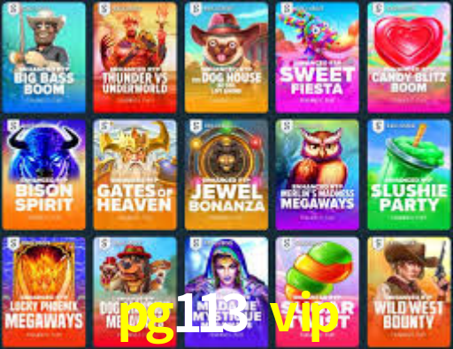 Interface Premium pg113 vip