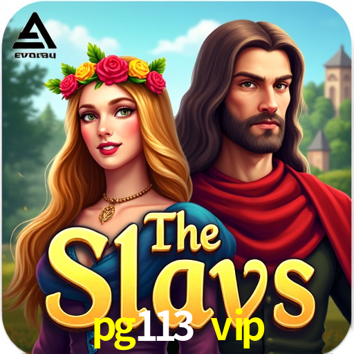 Login Seguro pg113 vip