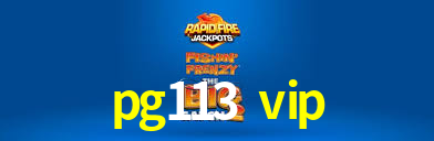 Programa VIP pg113 vip